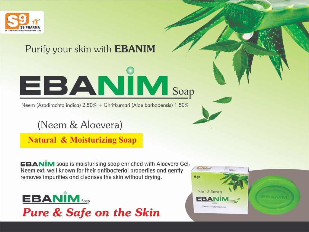 EBAnim-G Visual